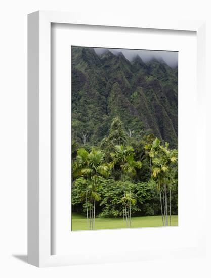 Cliffs of Koolau Mountains Above Palm Trees, Oahu, Hawaii, USA-Charles Crust-Framed Photographic Print