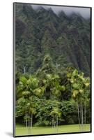 Cliffs of Koolau Mountains Above Palm Trees, Oahu, Hawaii, USA-Charles Crust-Mounted Photographic Print