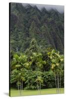 Cliffs of Koolau Mountains Above Palm Trees, Oahu, Hawaii, USA-Charles Crust-Stretched Canvas