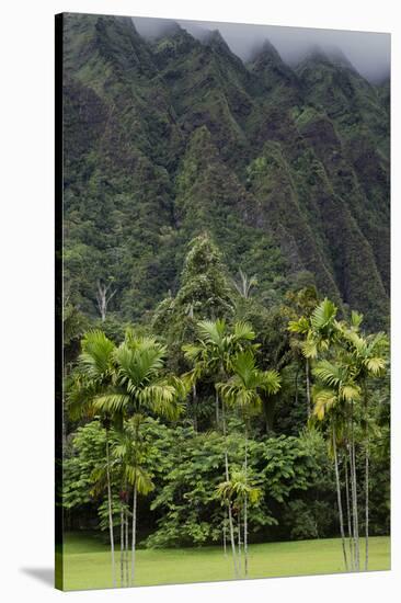 Cliffs of Koolau Mountains Above Palm Trees, Oahu, Hawaii, USA-Charles Crust-Stretched Canvas