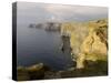 Cliffs of Moher, County Clare, Munster, Republic of Ireland (Eire), Europe-Gary Cook-Stretched Canvas
