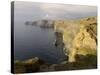 Cliffs of Moher, County Clare, Munster, Republic of Ireland (Eire), Europe-Gary Cook-Stretched Canvas