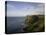 Cliffs of Moher, County Clare, Munster, Republic of Ireland, Europe-Oliviero Olivieri-Stretched Canvas