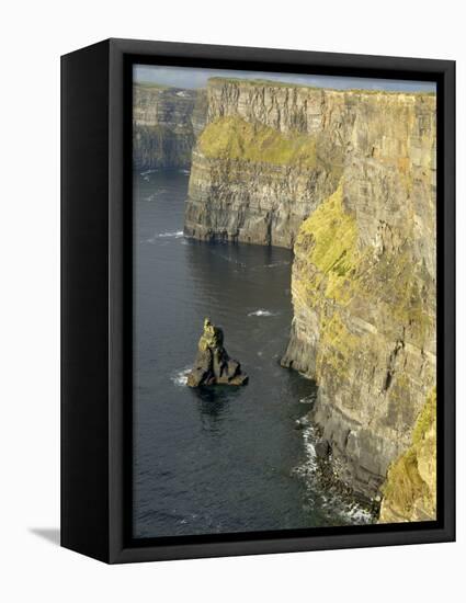 Cliffs of Moher, County Clare, Munster, Republic of Ireland-Gary Cook-Framed Stretched Canvas