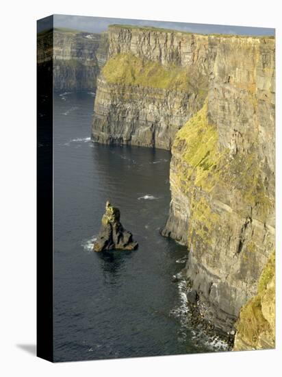 Cliffs of Moher, County Clare, Munster, Republic of Ireland-Gary Cook-Stretched Canvas