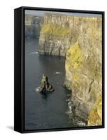 Cliffs of Moher, County Clare, Munster, Republic of Ireland-Gary Cook-Framed Stretched Canvas