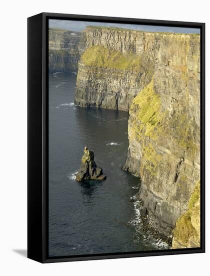 Cliffs of Moher, County Clare, Munster, Republic of Ireland-Gary Cook-Framed Stretched Canvas