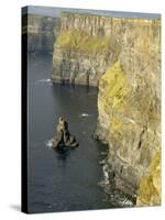 Cliffs of Moher, County Clare, Munster, Republic of Ireland-Gary Cook-Stretched Canvas