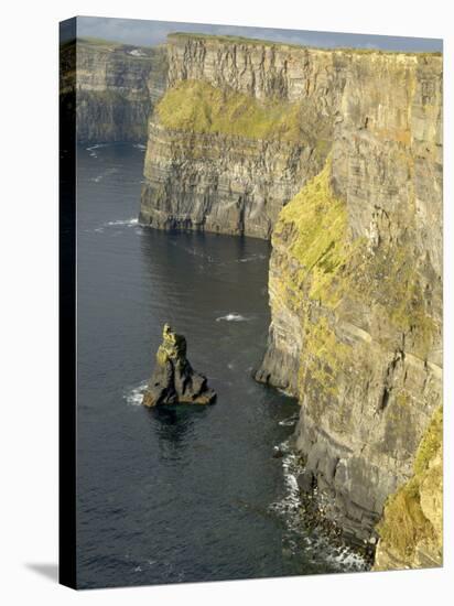 Cliffs of Moher, County Clare, Munster, Republic of Ireland-Gary Cook-Stretched Canvas