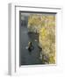 Cliffs of Moher, County Clare, Munster, Republic of Ireland-Gary Cook-Framed Photographic Print