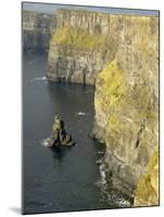 Cliffs of Moher, County Clare, Munster, Republic of Ireland-Gary Cook-Mounted Photographic Print