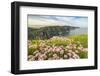 Cliffs of Moher with flowers on the foreground. Liscannor, Munster, Co.Clare, Ireland, Europe.-ClickAlps-Framed Photographic Print