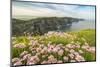 Cliffs of Moher with flowers on the foreground. Liscannor, Munster, Co.Clare, Ireland, Europe.-ClickAlps-Mounted Photographic Print