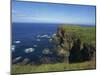 Cliffs over Coatline, Near Dunlace Castle, County Antrim, Ulster, Northern Ireland, United Kingdom-Charles Bowman-Mounted Photographic Print