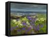 Cliffside Flowers-Sheila Finch-Framed Stretched Canvas