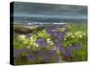 Cliffside Flowers-Sheila Finch-Stretched Canvas