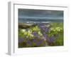 Cliffside Flowers-Sheila Finch-Framed Art Print