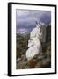 Cliffside Partners-Trevor V. Swanson-Framed Giclee Print