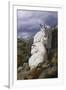 Cliffside Partners-Trevor V. Swanson-Framed Giclee Print