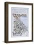 Cliffside town of Fira, Island of Santorini, Greece-Richard Lawrence-Framed Photographic Print