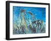 Clifftop, Studland, Dorset, c.1988-Isabel Alexander-Framed Giclee Print