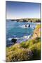 Clifftop View of Porthcothan Bay with Spring Wildflowers, Cornwall, England. Spring-Adam Burton-Mounted Photographic Print