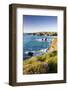 Clifftop View of Porthcothan Bay with Spring Wildflowers, Cornwall, England. Spring-Adam Burton-Framed Photographic Print