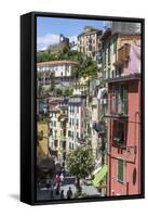 Clifftop Village of Riomaggiore, Cinque Terre, UNESCO World Heritage Site, Liguria, Italy, Europe-Gavin Hellier-Framed Stretched Canvas