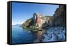 Clifftop Village of Riomaggiore, Cinque Terre, UNESCO World Heritage Site, Liguria, Italy, Europe-Gavin Hellier-Framed Stretched Canvas