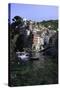 Clifftop Village of Riomaggiore, Cinque Terre, UNESCO World Heritage Site, Liguria, Italy, Europe-Gavin Hellier-Stretched Canvas