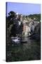 Clifftop Village of Riomaggiore, Cinque Terre, UNESCO World Heritage Site, Liguria, Italy, Europe-Gavin Hellier-Stretched Canvas