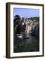 Clifftop Village of Riomaggiore, Cinque Terre, UNESCO World Heritage Site, Liguria, Italy, Europe-Gavin Hellier-Framed Photographic Print