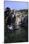 Clifftop Village of Riomaggiore, Cinque Terre, UNESCO World Heritage Site, Liguria, Italy, Europe-Gavin Hellier-Mounted Photographic Print