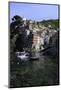 Clifftop Village of Riomaggiore, Cinque Terre, UNESCO World Heritage Site, Liguria, Italy, Europe-Gavin Hellier-Mounted Photographic Print