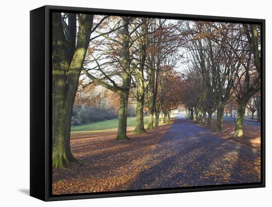 Clifton Downs, Bristol, England, United Kingdom-Charles Bowman-Framed Stretched Canvas