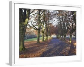 Clifton Downs, Bristol, England, United Kingdom-Charles Bowman-Framed Photographic Print