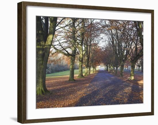 Clifton Downs, Bristol, England, United Kingdom-Charles Bowman-Framed Photographic Print