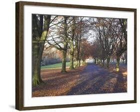 Clifton Downs, Bristol, England, United Kingdom-Charles Bowman-Framed Photographic Print