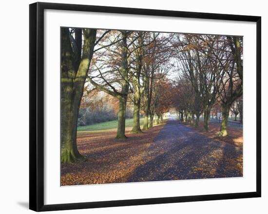 Clifton Downs, Bristol, England, United Kingdom-Charles Bowman-Framed Photographic Print