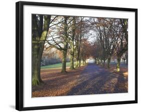 Clifton Downs, Bristol, England, United Kingdom-Charles Bowman-Framed Photographic Print