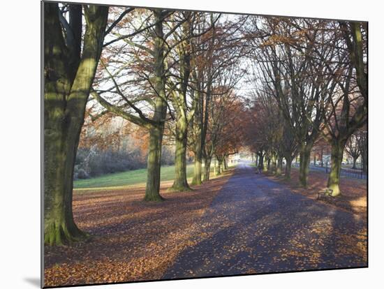 Clifton Downs, Bristol, England, United Kingdom-Charles Bowman-Mounted Photographic Print