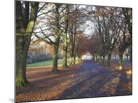 Clifton Downs, Bristol, England, United Kingdom-Charles Bowman-Mounted Photographic Print