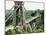 Clifton Suspension Bridge-null-Mounted Giclee Print