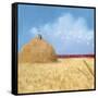 Climb Any Mountain-Nancy Tillman-Framed Stretched Canvas