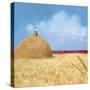 Climb Any Mountain-Nancy Tillman-Stretched Canvas