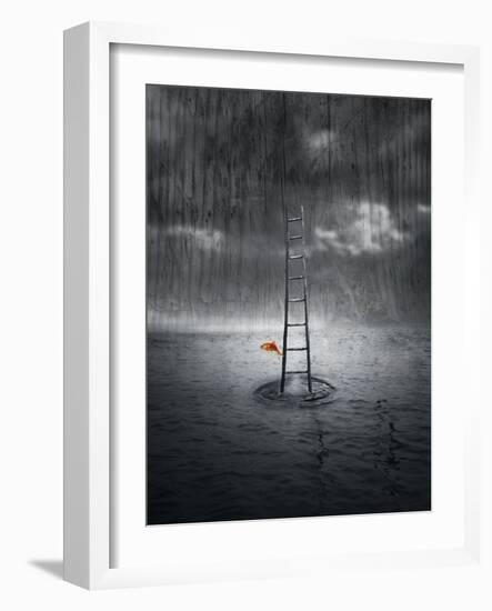 Climb Up-ValentinaPhotos-Framed Art Print