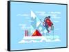 Climber Conquers the Summit. Mountain and Adventure, Climbing and Challenge, Brave and Courage, Ext-Kit8 net-Framed Stretched Canvas