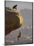 Climber Dangling-null-Mounted Photographic Print