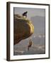 Climber Dangling-null-Framed Photographic Print