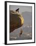 Climber Dangling-null-Framed Photographic Print